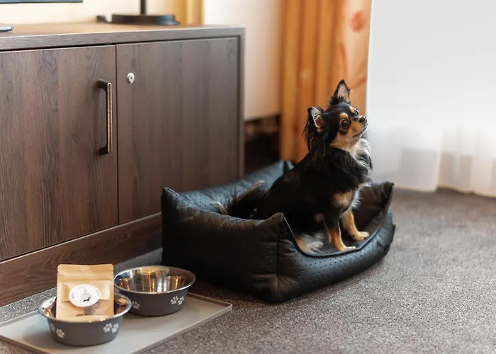 Apartment Gemuetliches Mit Blick Zur Frauenkirche