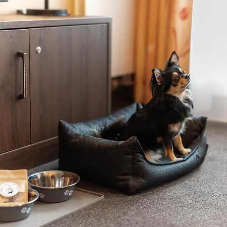 דירה Gemuetliches Mit Blick Zur Frauenkirche